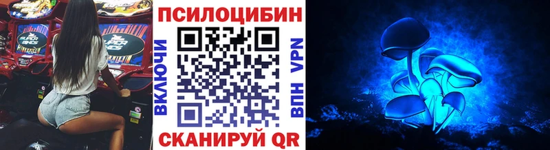 наркотики Железногорск-Илимский ОМГ ОМГ рабочий сайт Галлюциногенные грибы Cubensis